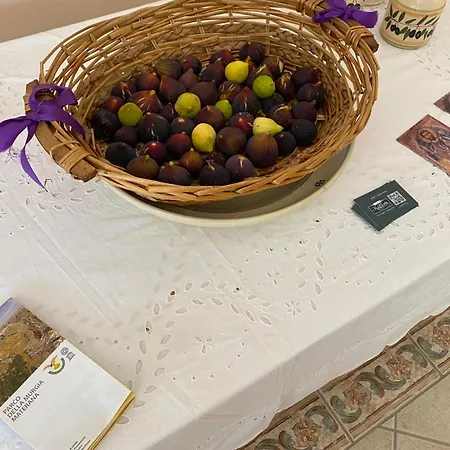 Vittoria Aparthotel *